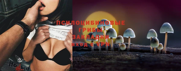 МДПВ Алексин