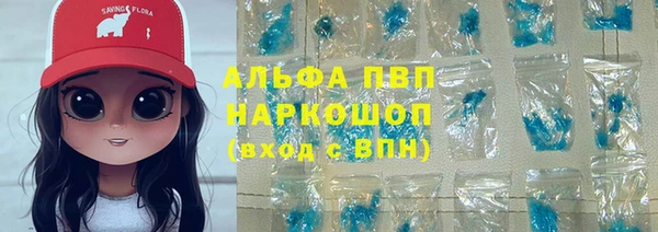 хмурый Алзамай